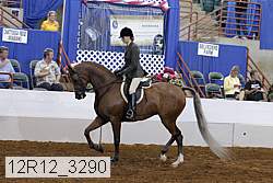 12r12_3290 proof
