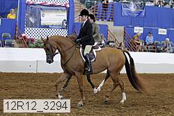 12r12_3294 proof