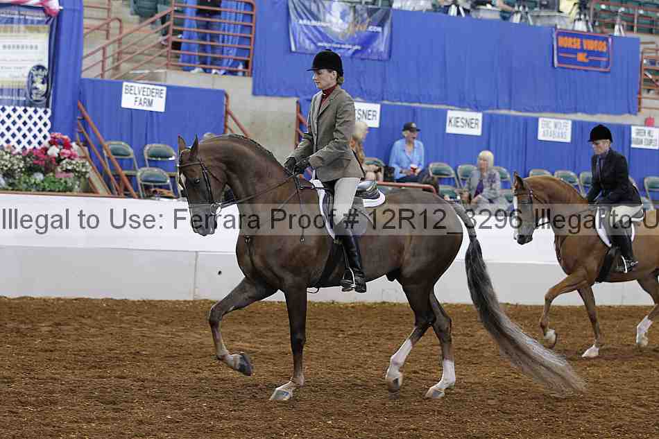 Proof 12r12_3296