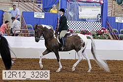 12r12_3298 proof