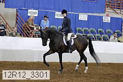 12r12_3301 proof