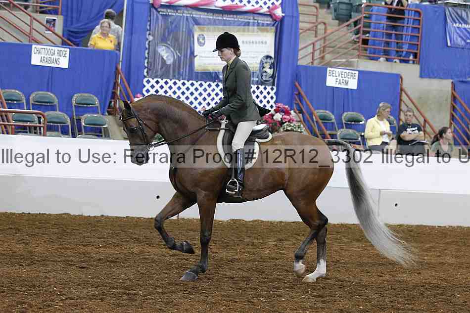 Proof 12r12_3302