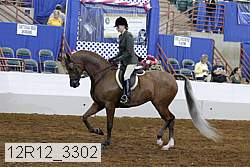 12r12_3302 proof