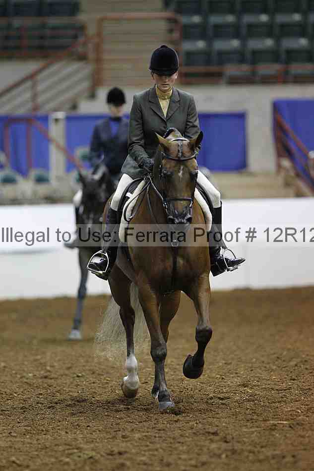Proof 12r12_3306