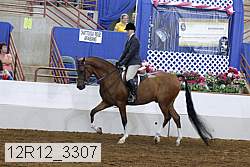 12r12_3307 proof