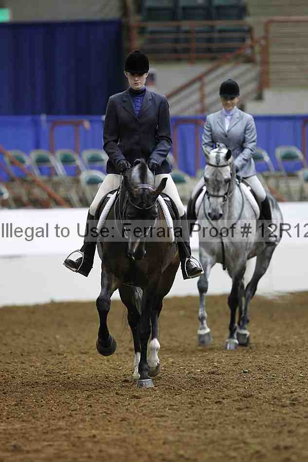 Proof 12r12_3308