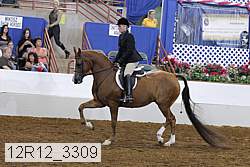 12r12_3309 proof