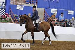 12r12_3311 proof