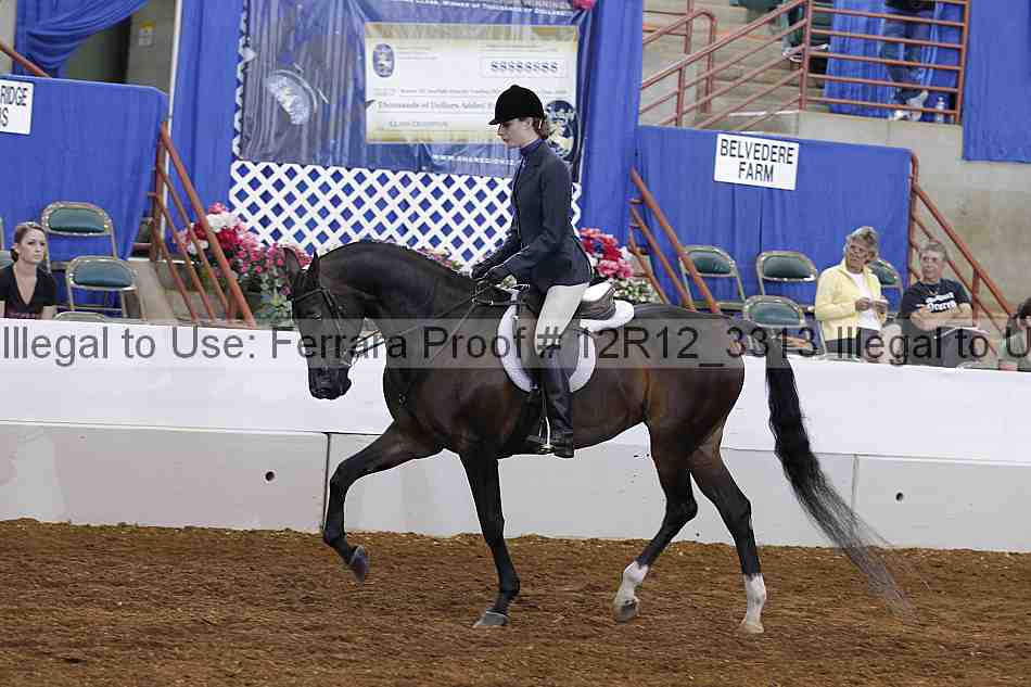 Proof 12r12_3313