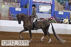 12r12_3315 proof