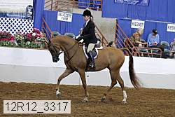 12r12_3317 proof