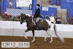 12r12_3318 proof