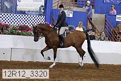 12r12_3320 proof