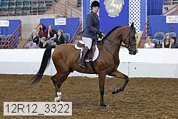 12r12_3322 proof