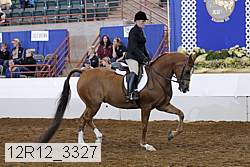 12r12_3327 proof