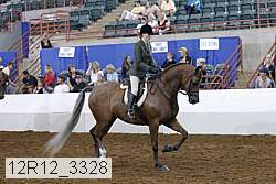 12r12_3328 proof