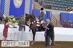 12r12_3341 proof
