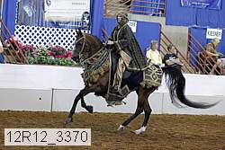 12r12_3370 proof