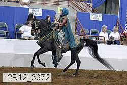 12r12_3372 proof
