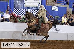12r12_3385 proof