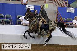 12r12_3387 proof