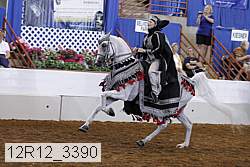 12r12_3390 proof