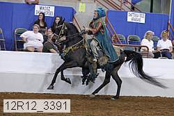 12r12_3391 proof