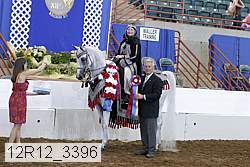 12r12_3396 proof