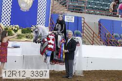 12r12_3397 proof