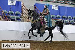 12r12_3409 proof