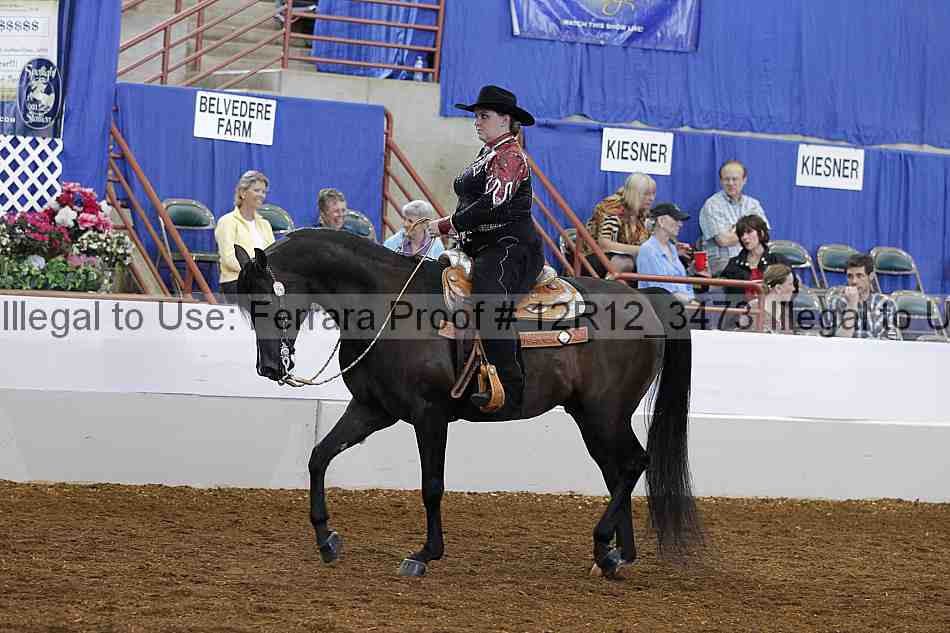 Proof 12r12_3473
