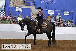 12r12_3473 proof