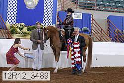 12r12_3489 proof