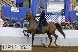 12r12_3532 proof