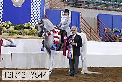 12r12_3544 proof