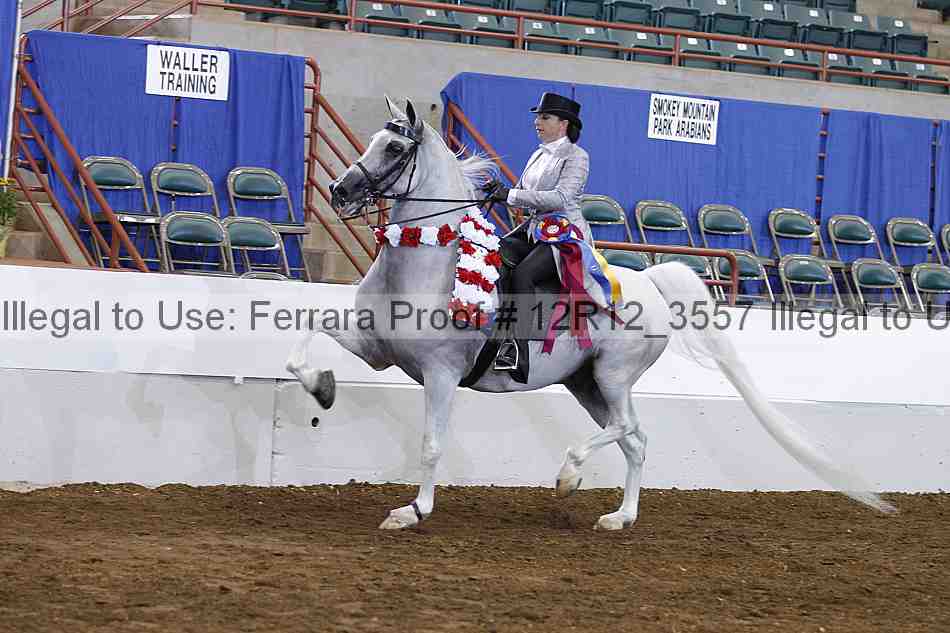 Proof 12r12_3557
