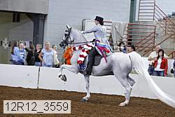 12r12_3559 proof