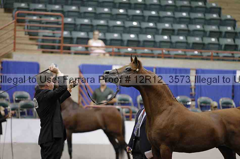 Proof 12r12_3573