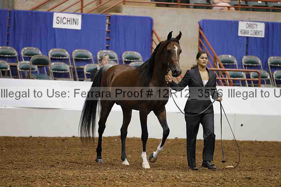 Proof 12r12_3576