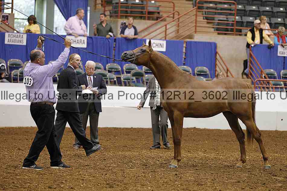 Proof 12r12_3602