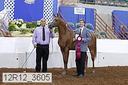12r12_3605 proof