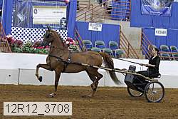 12r12_3708 proof