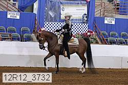 12r12_3732 proof