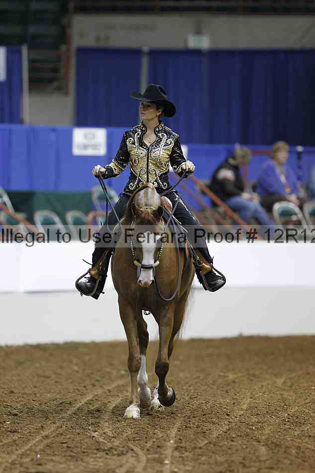 Proof 12r12_3733