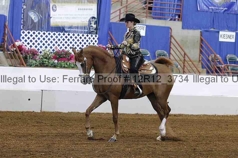 Proof 12r12_3734