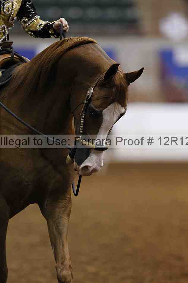 Proof 12r12_3736