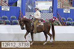 12r12_3738 proof