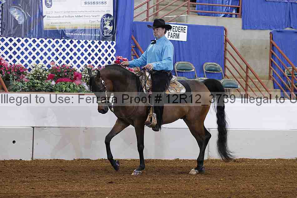 Proof 12r12_3739