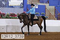 12r12_3739 proof