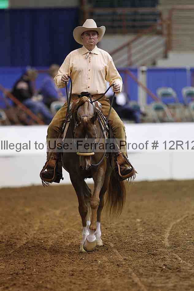 Proof 12r12_3740